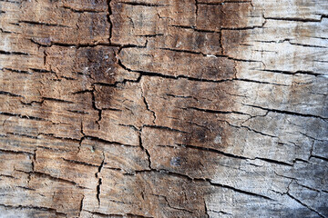 Sectional wood - brown texture with cracks. Top view close up