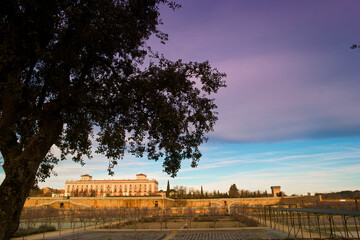 Fototapety na wymiar - Fototapeta24.pl