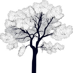 black isolated lush tree outline isolated on white
