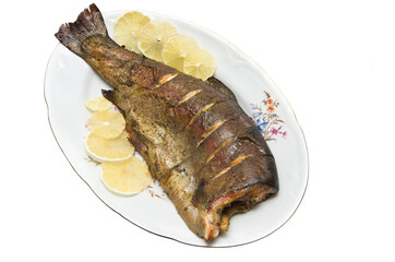  Baked trout with lemon on plate isolated on white background