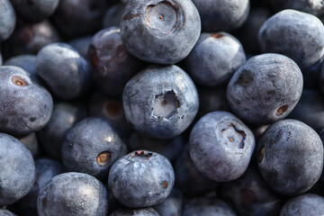 blueberries close up view