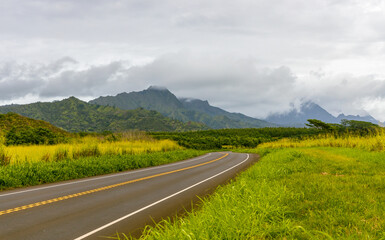 Scenic road and mountains in the distance on Kauai Island, Hawaii