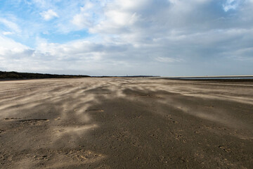 Fototapeta premium sand of a beach in the Netherlands in the evening sun