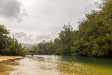 Scenic view of Kalihiwai River near Kalihiwai beach on Kauai Island, Hawaii