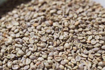 Green, unroasted coffee beans