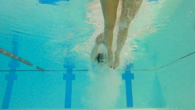 Two women swimmer in the pool for sports competition. Underwater image of people floating.