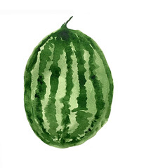 Bright whole watercolor whole watermelon. hand-drawn