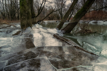 Winter landscape created by beavers and water - obrazy, fototapety, plakaty