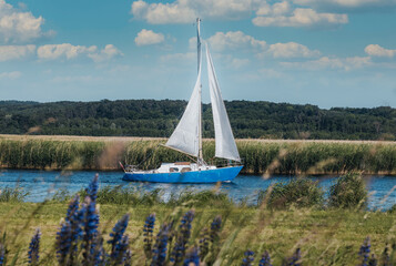 boat on the river
