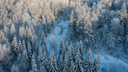 aeer snow-covered forest from above
