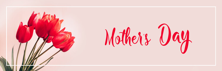 Bouquet of beautiful red spring tulips flowers on pastel pink background. Valentines day, mothers day, womens day concept.