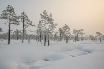 winter fairy tale, winter ideal landscape