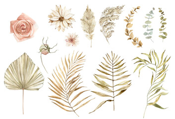 Watercolor boho flowers and leaves clipart. Dry palm branches, dried flowers and herbs. Pampas grass, white orchids. For cards, wedding invitations, posters, scrapbooking