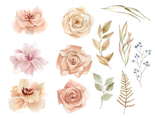 Watercolor boho flowers and leaves clipart. Dry palm branches, dried flowers and herbs. Pampas grass, white orchids. For cards, wedding invitations, posters, scrapbooking