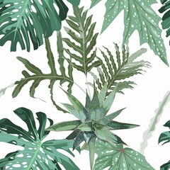 Floral seamless pattern, tropical  plants, fern and leaves, monstera palm on white background.