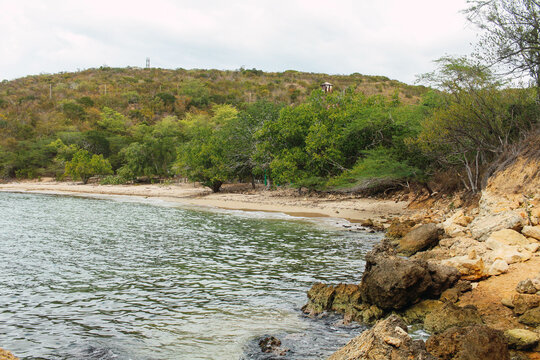 Bosque Seco de Gu&aacute;nica, Puerto Rico