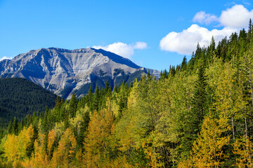 Sheep River Provincial Park Kananaskis Country Alberta Canada