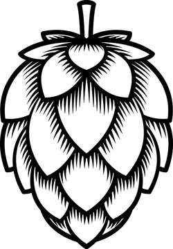 Illustration of a hops flower used in making beer.