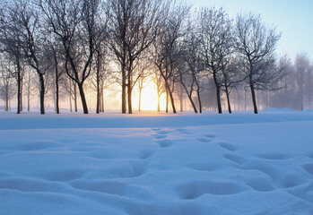 sunrise in the winter 