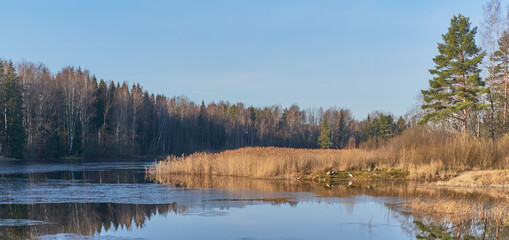 Fall country landscape with thin crust of ice on water surface, heron on riverbank, scenic forest