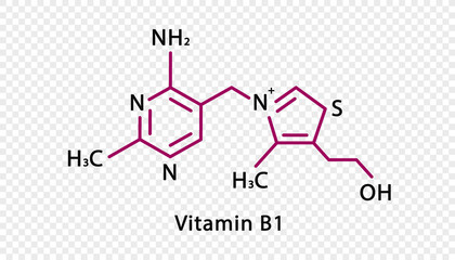 Vitamin B1 chemical formula. Vitamin B1 structural chemical formula isolated on transparent background.