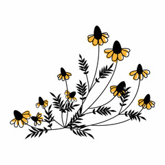 Black line art flower chamomile with yellow spots. Doodle Chamomile. Wild flowers