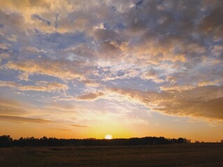 sunset in the field