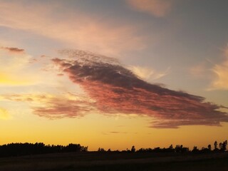 sunset and pink loose clouds