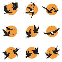 collection of various bird icons against background of sun