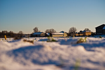 Pola pod śniegiem w podmiejskiej okolicy . Zabudowania : domy , stodoły . Nagie drzewa . Zima . © Grzegorz
