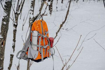 A backpack hangs from a tree in a winter forest. A backpack forgotten by someone. A thermos sticks...