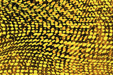 Vector abstract multicolor grunge background