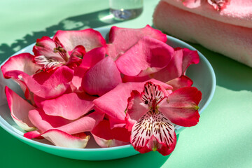 Rose petals in bowl. Bright pink on an emerald green background, close-up. Spa, self-care, bath with rose petals. Home beauty treatments, manicure. Self-care with pleasure