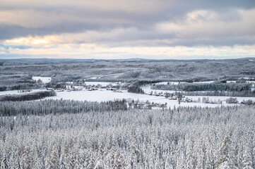 Obraz premium A vast view of the snow covered trees in the snowdrifts horizon. Magical winter forest. Natural landscape with dramatic beautiful sky.