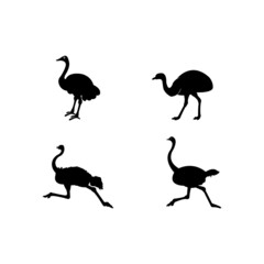 ostrich icon