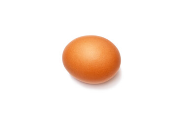 one brown chicken egg on a white background