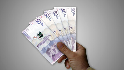 Colombia Peso growing pile of money in hand concept 3d illustration