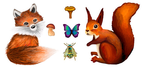 Fox, squirrel, butterfly, beetle, mushrooms on a white background