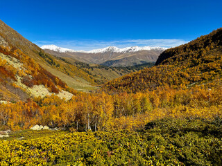 Fototapeta premium autumn in the mountains