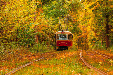 Naklejka na ściany i meble Autumn forest through which an old tram rides (Ukraine)