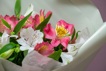 close-up of pink alstroemeria in a bouquet with white alstroemeria