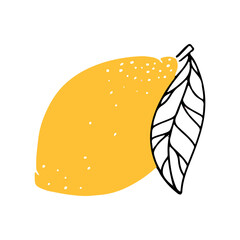 Lemon. Citrus fruit. Vector illustration isolated on a white background.
