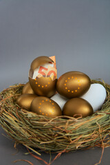 golden egg with cash euro banknotes 50, concept of enrichment and wealth	

