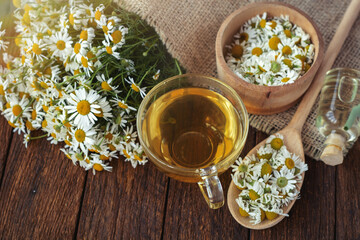 cup of herbal chamomile tea with fresh daisy flowers on wooden background. doctor treatment and prevention of immune concept, medicine - folk, alternative, complementary, traditional medicine