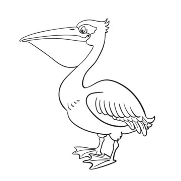 Funny pelican.  Black and white picture in cartoon style. Isolated on white background. For coloring book. Vector illustration. 