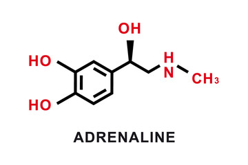 Adrenaline chemical formula. Adrenaline chemical molecular structure. Vector illustration © Lifeking