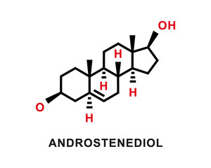 Androstenediol chemical formula. Androstenediol chemical molecular structure. Vector illustration