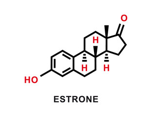 Estrone chemical formula. Estrone chemical molecular structure. Vector illustration