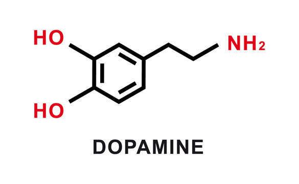 Dopamine chemical formula. Dopamine chemical molecular structure. Vector illustration