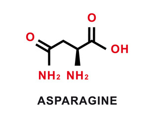 Asparagine chemical formula. Asparagine chemical molecular structure. Vector illustration